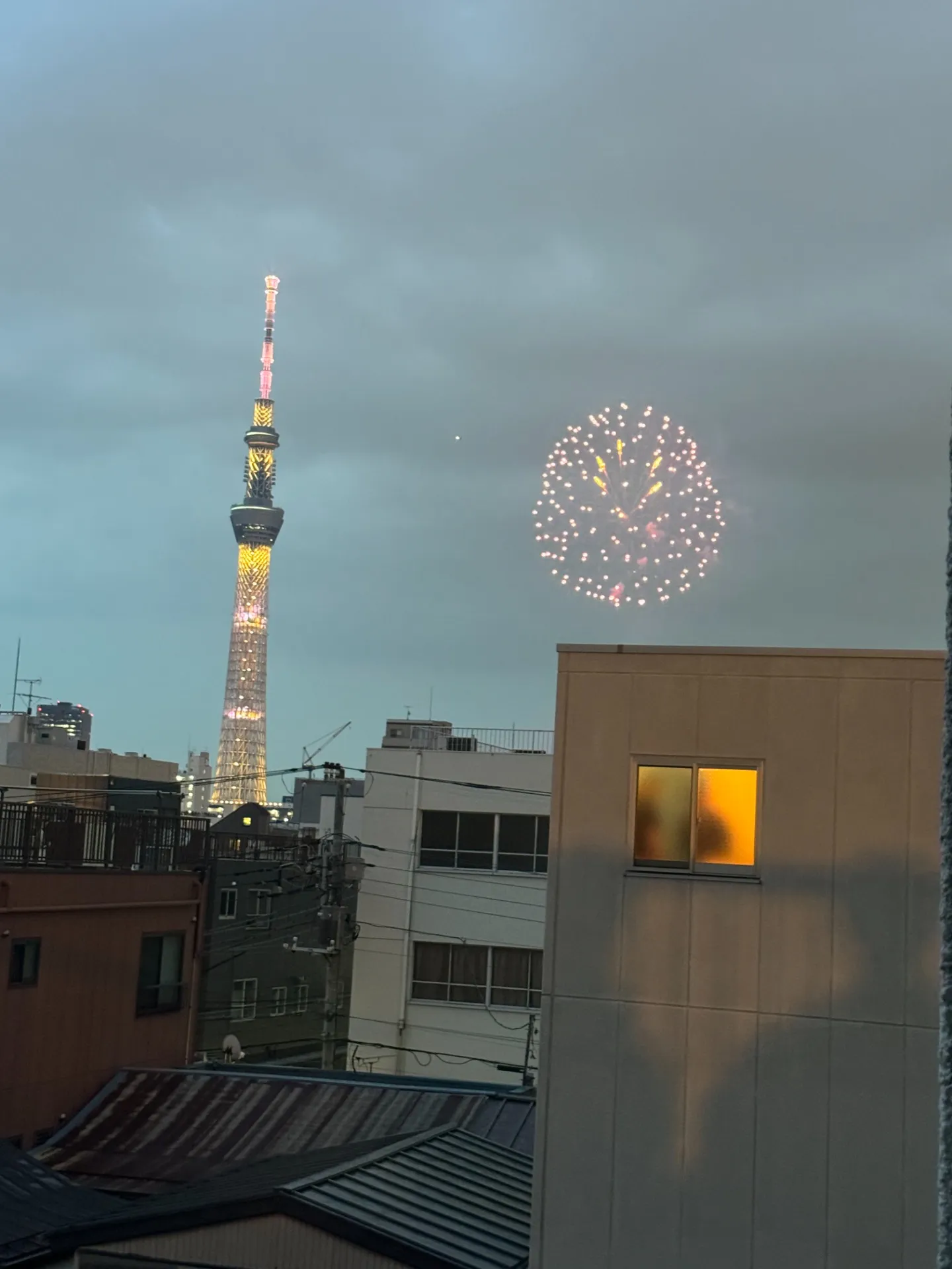 事務所の窓から見えます